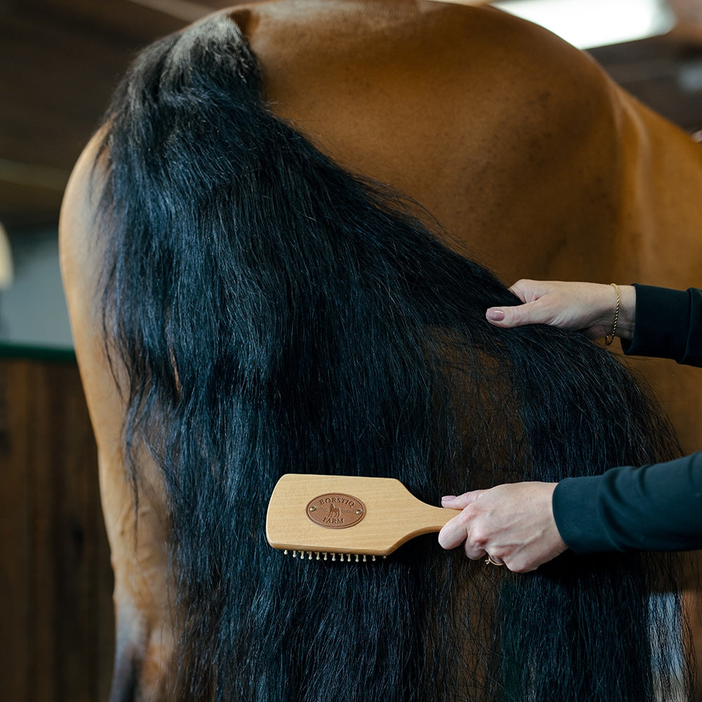 Borstiq Brosse à crinière et à queue avec dos en bois et picots en caoutchouc, démêlage, confort maximal