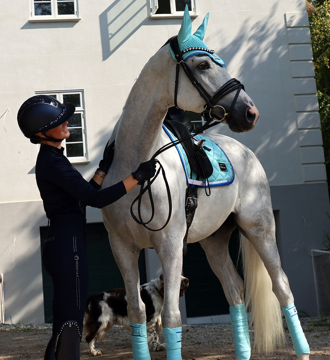 RiderByHorse - tapis platinum stone - Tibetan stone