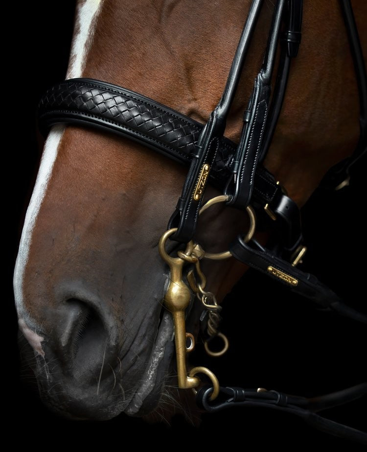 Utzon Equestrian - Bride Olympic