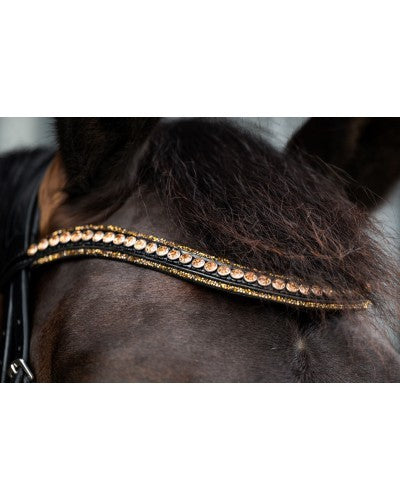 HB - bridon golden dream