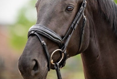 HB - bridon las vegas - noir glitter