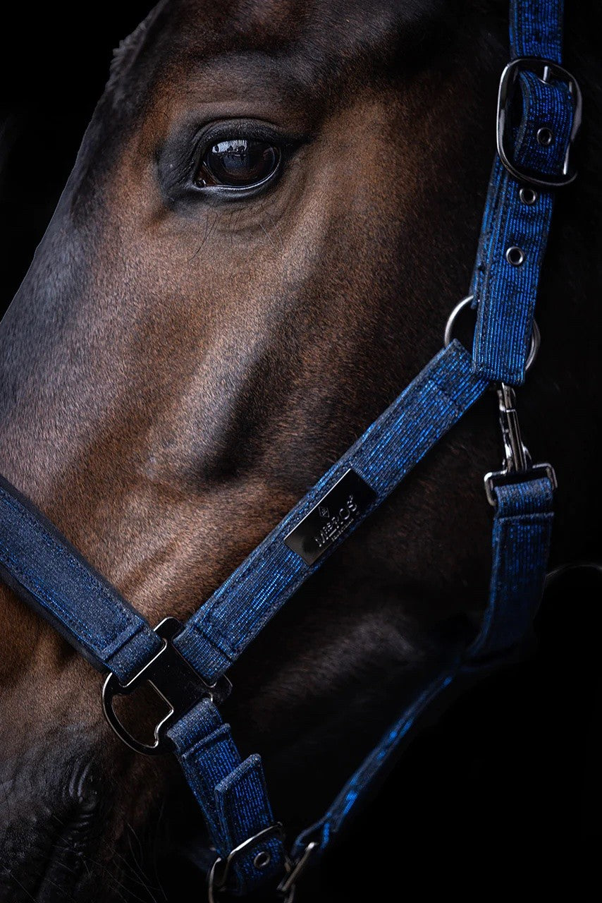 Mrs Ros - licol et longe - festive blue