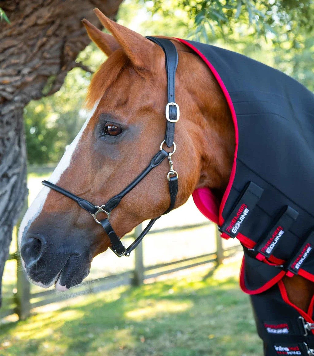 Premier equine - couverture nano-tec infra rouge