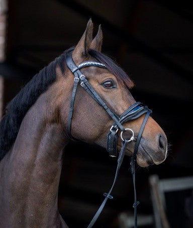 HB - bridon Stockholm strass noir