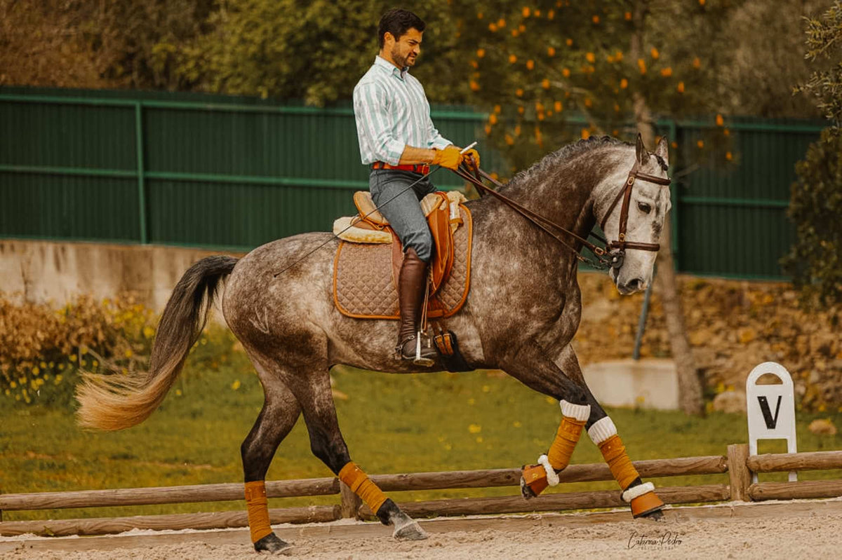 16C Tapis de dressage Heritage Tweed-look, respirant, évacue l'humidité, bordure en cuir végan