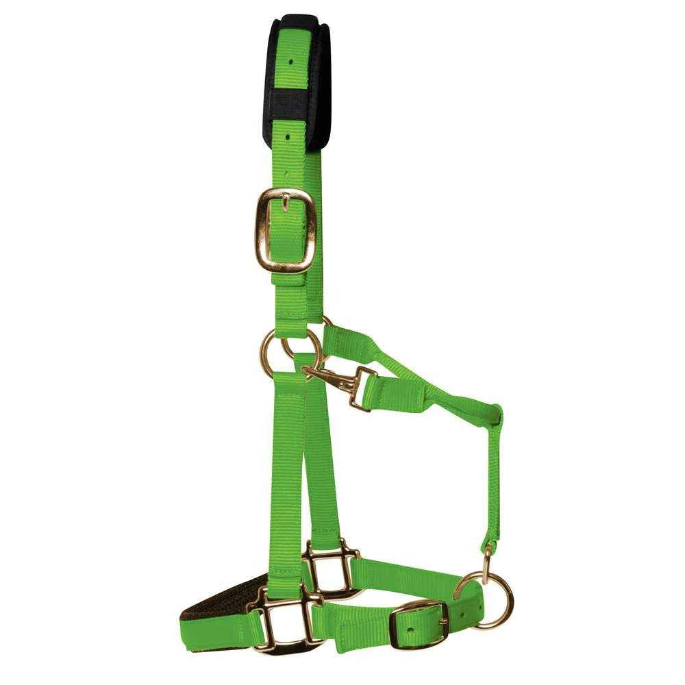 KM Elite Licol rembourré de luxe, vert chaud, qualité supérieure