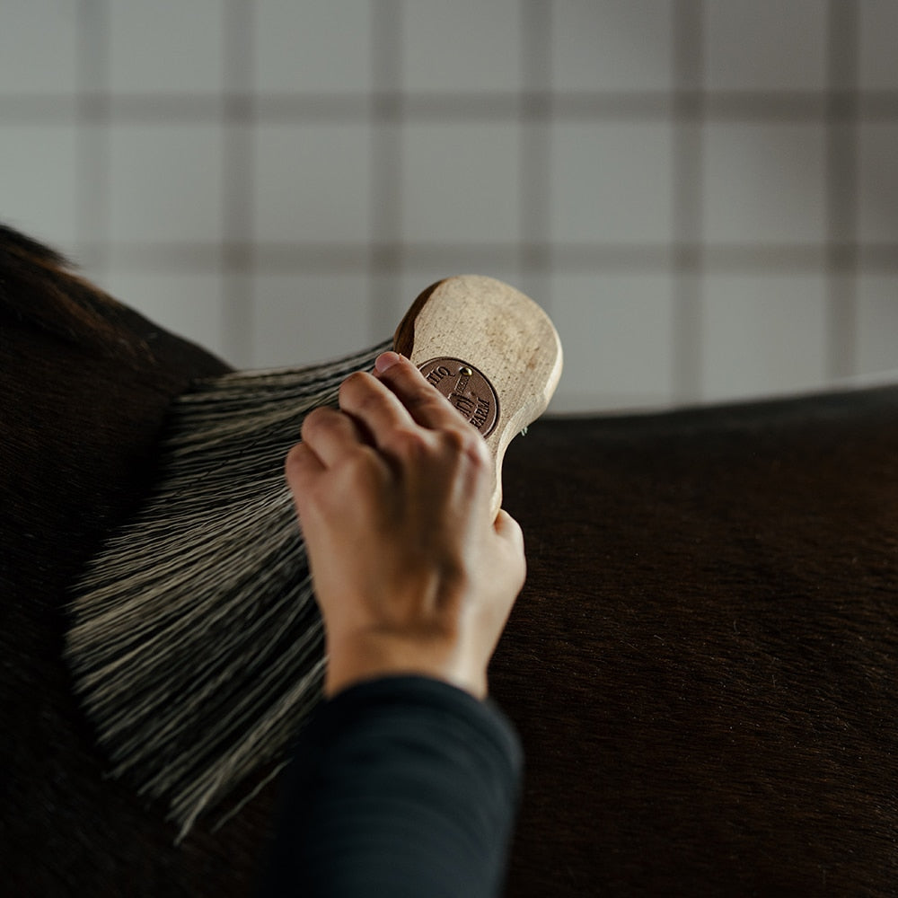 Borstiq Brosse à main à fibres PP extra-longues, élimine la poussière, apporte de la brillance