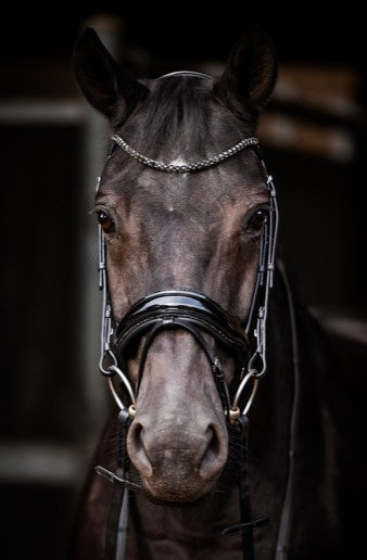 HB - bridon Evalira - strass noir