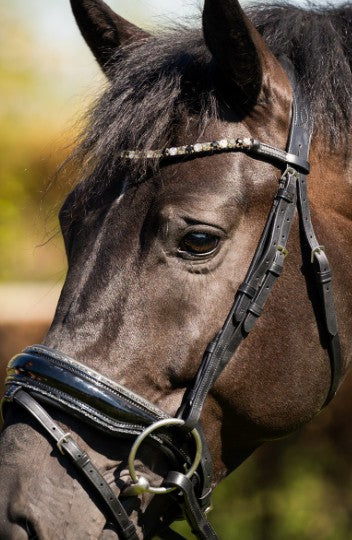 HB - bridon Evalira - strass gris