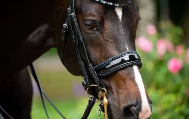 HB - bride special for you - strass bleu