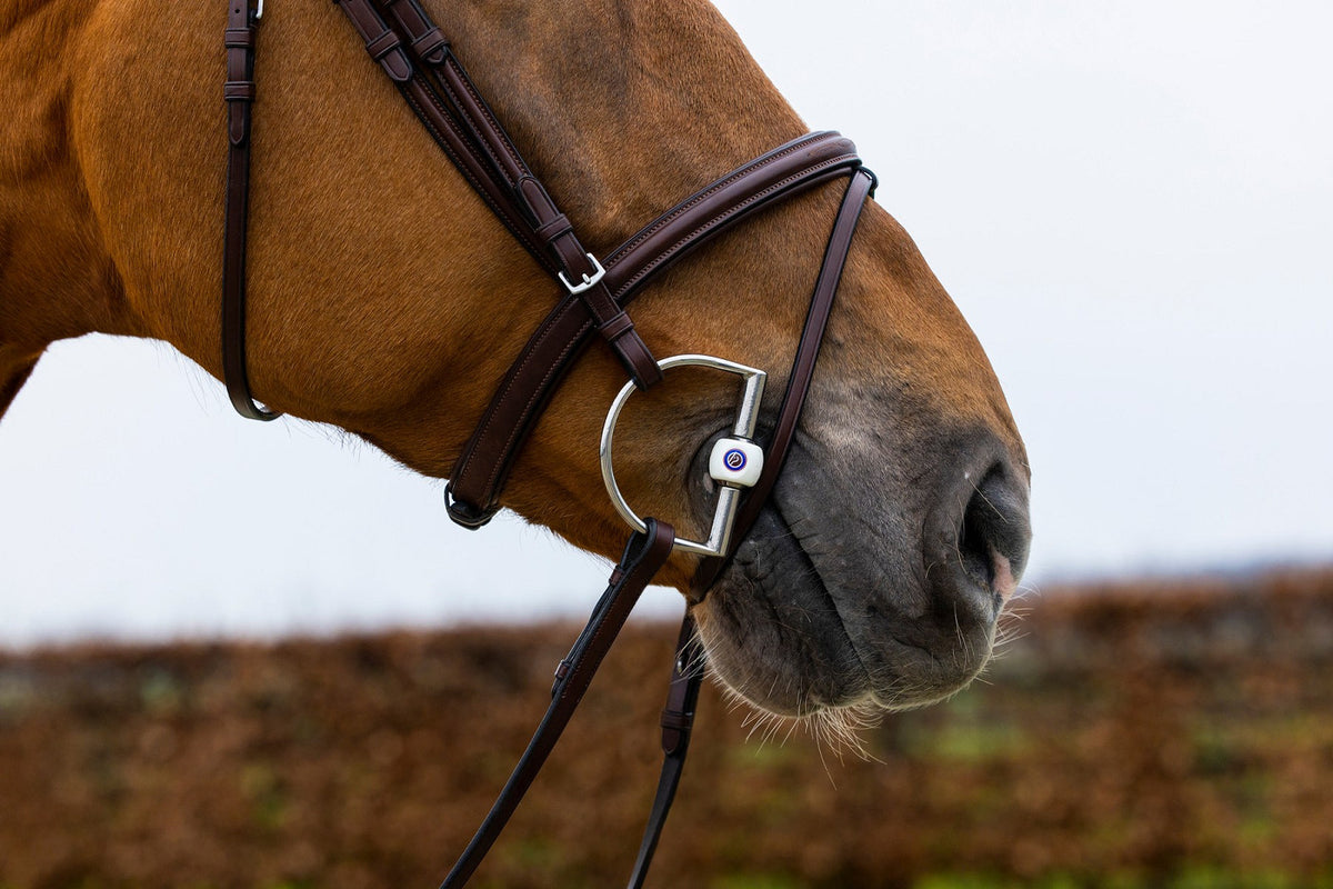 TRUST Knokke Comb. nb bridle Classic