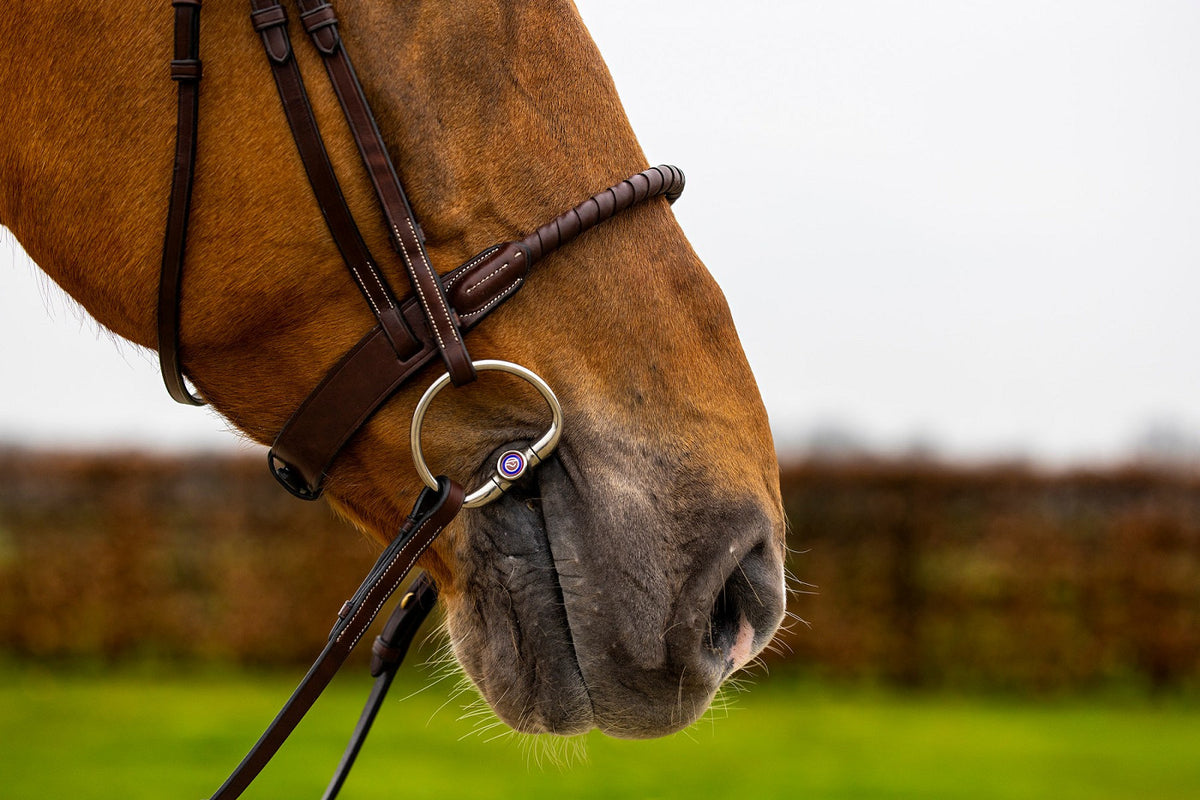 TRUST Dublin Rope noseband bridle