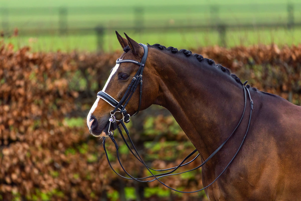 TRUST Aachen Large p crank NB double bridle