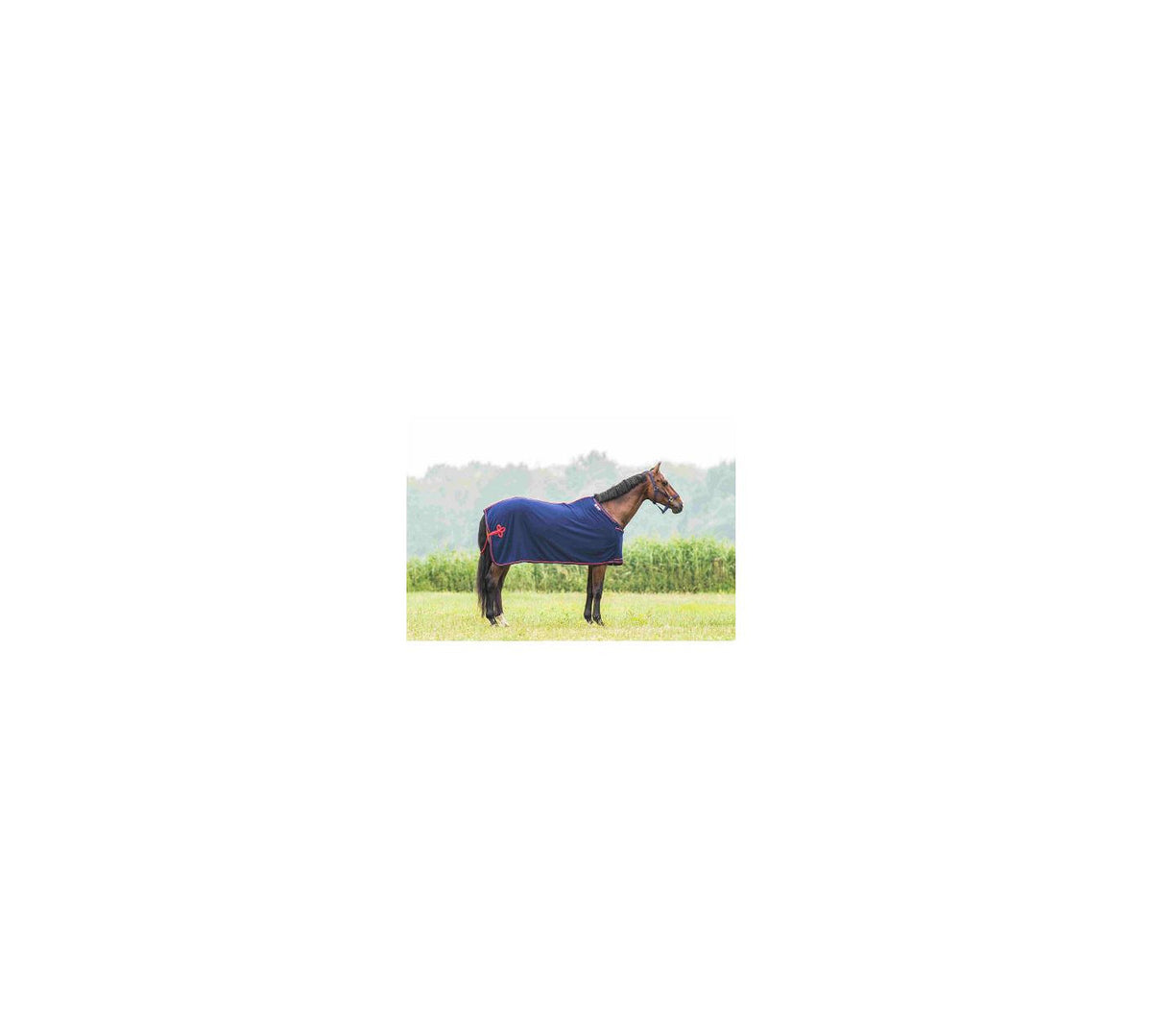 TRUST Show rug red piping – Bleu/Rouge