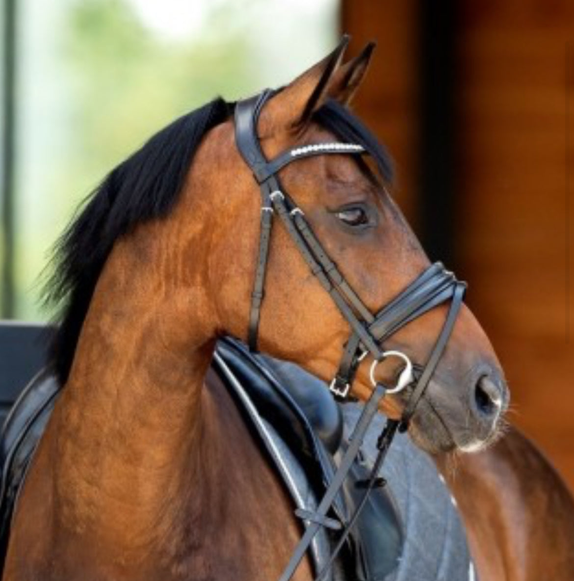 HB - bridon very soft