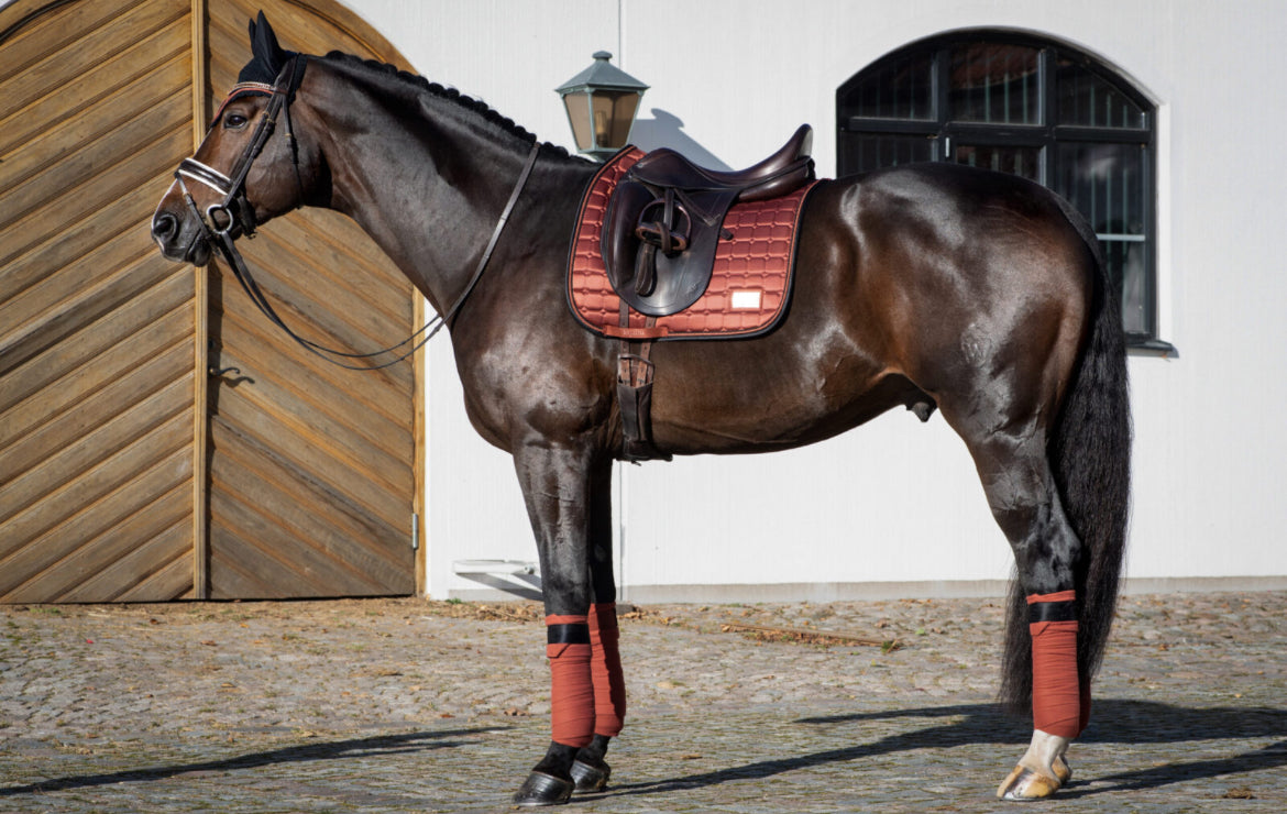 Equito - tapis dressage Cinnamon spice