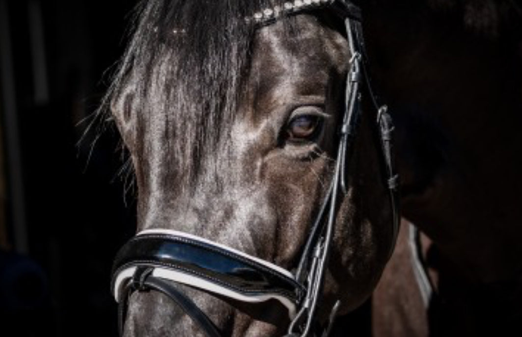 HB - bridon Spécial Guy - 2 coloris