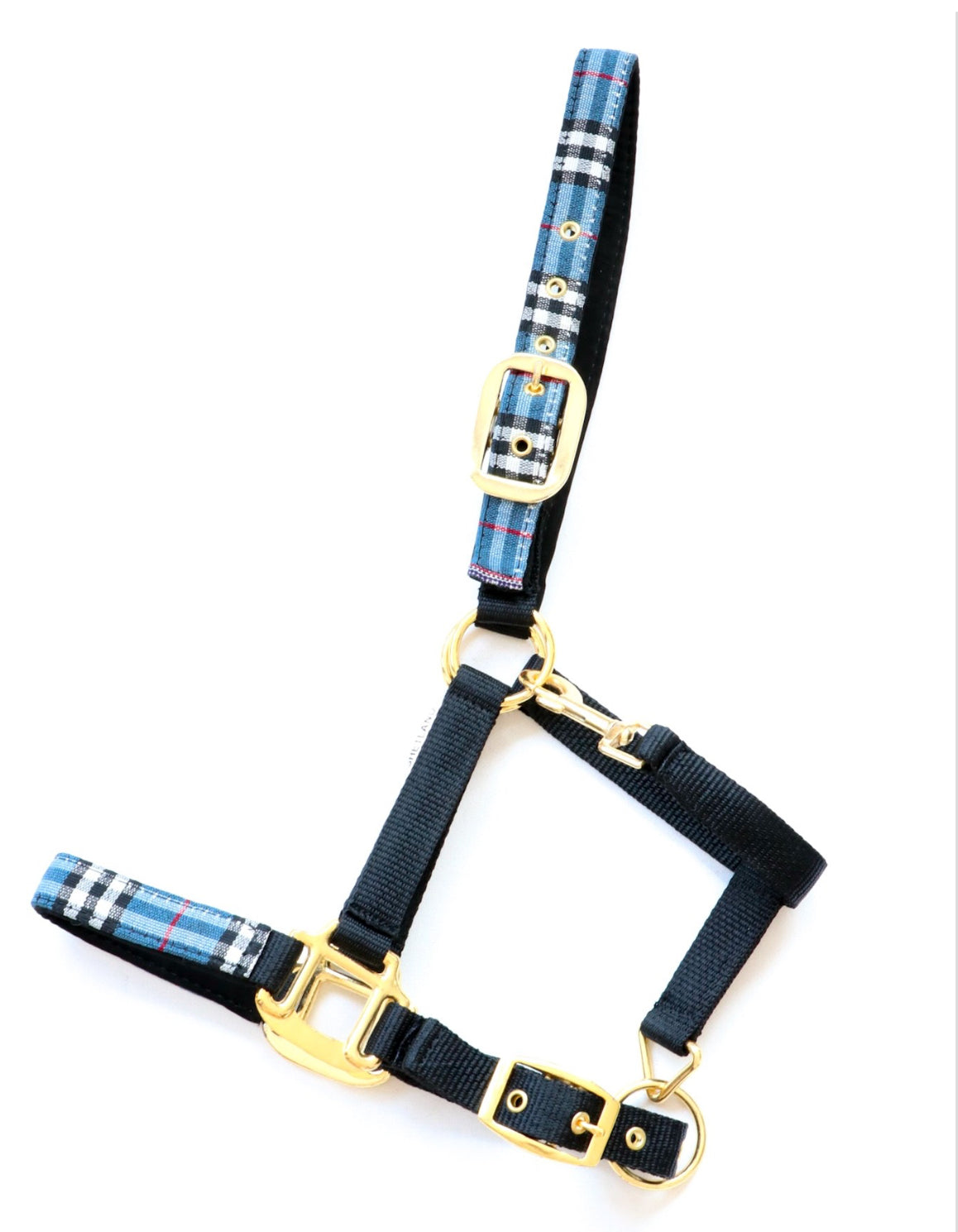 HB - Licol nylon spécial édition