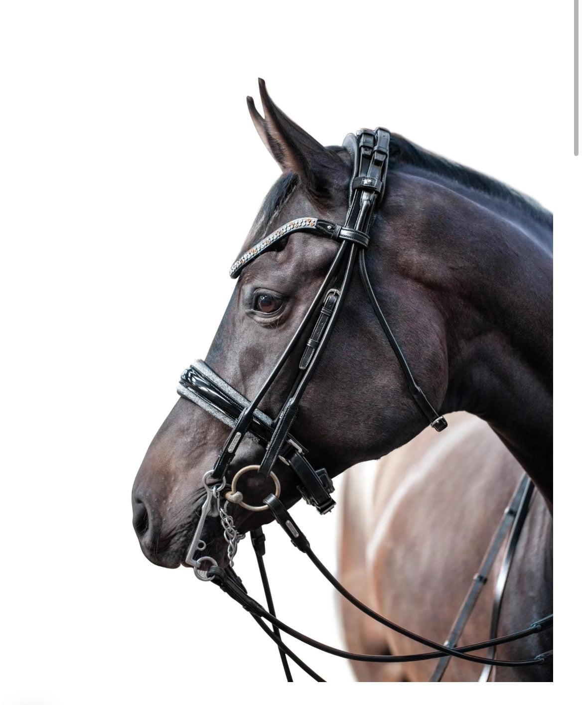 Utzon Equestrian - Bride Miami Crystal