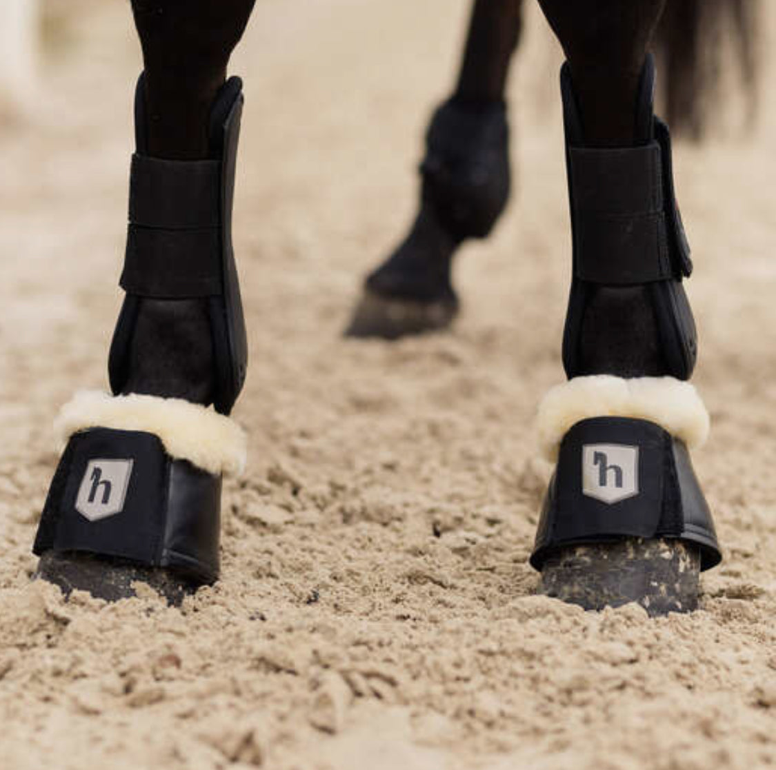 Horze - Cloches Salerno