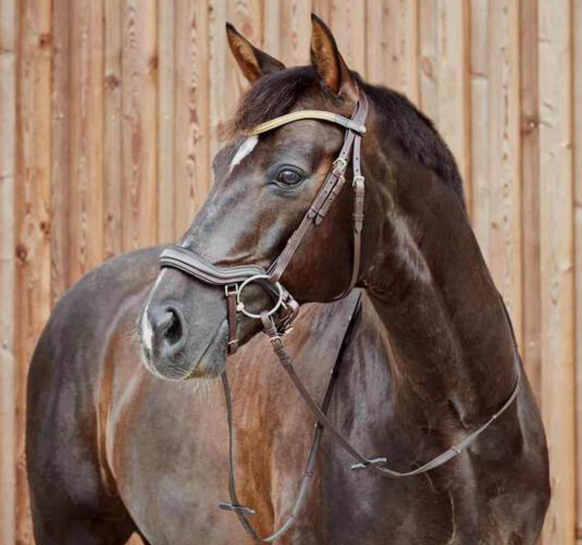 Horze - Bridon Highbury