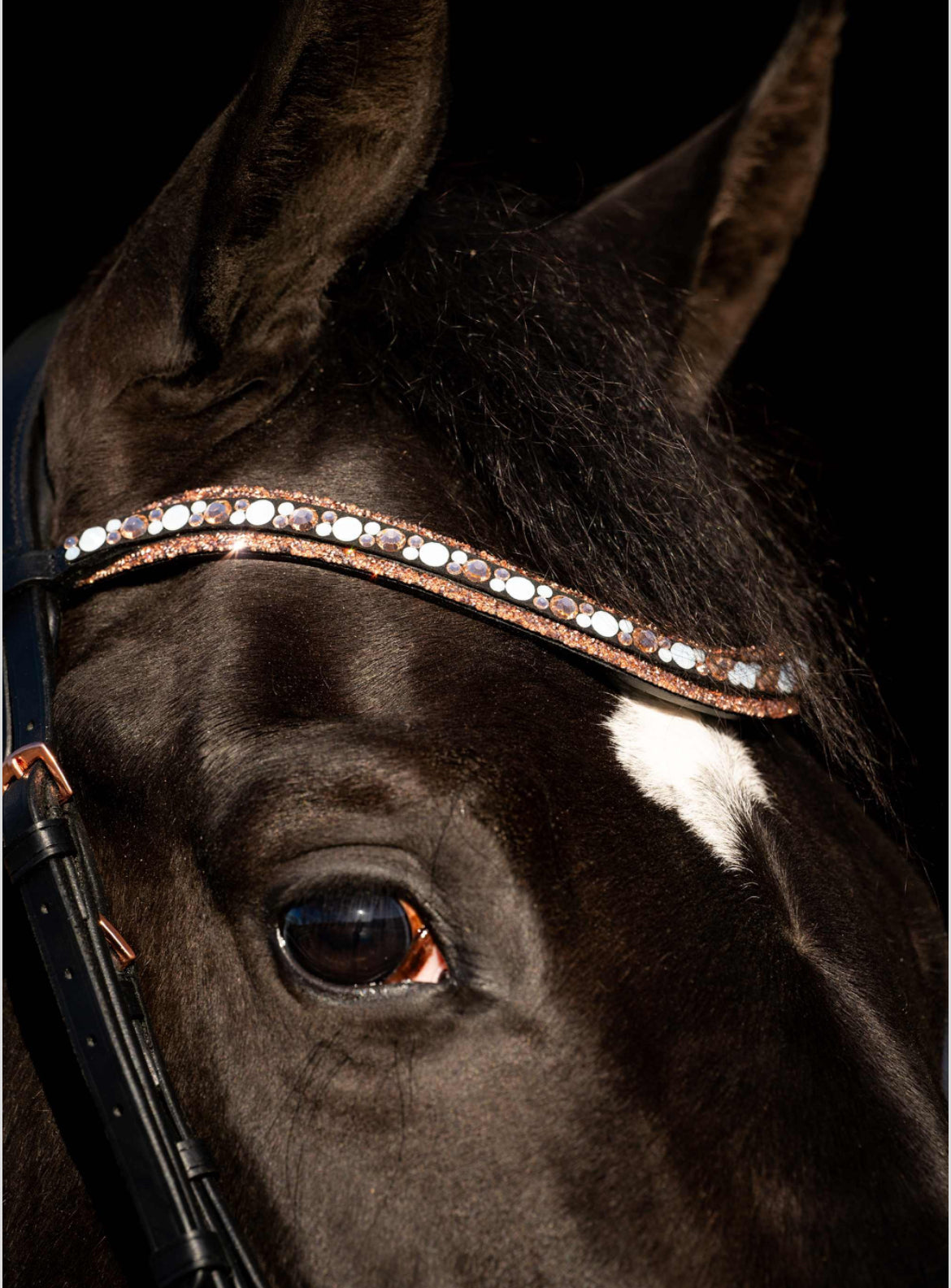 HB - bridon Copper sky