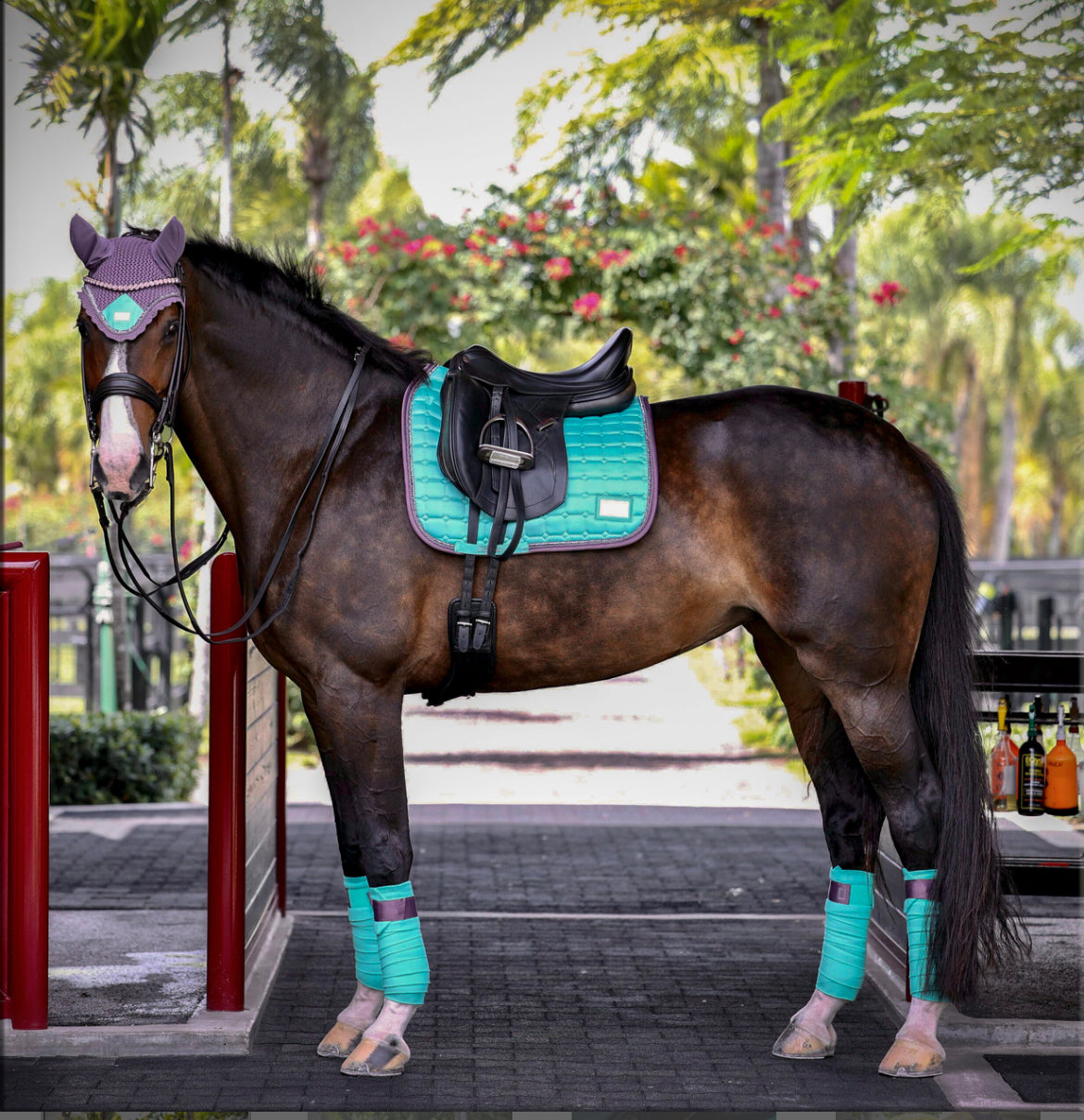 Equito - tapis dressage Frosty mint