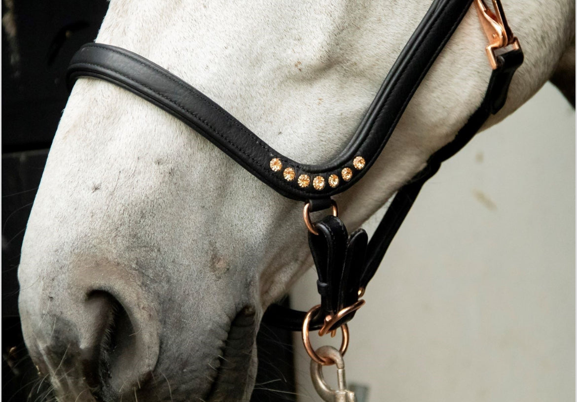 HB - Licol cuir anatomic rosegold