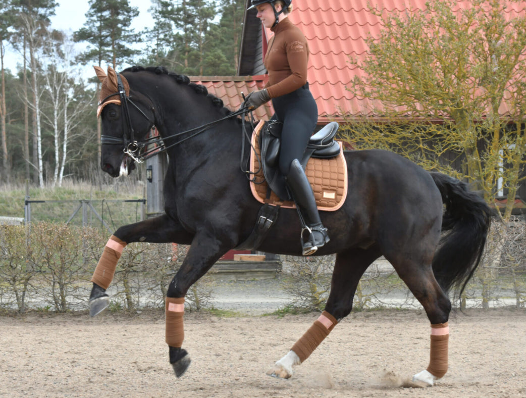 Equito - Bandes Rocky Road