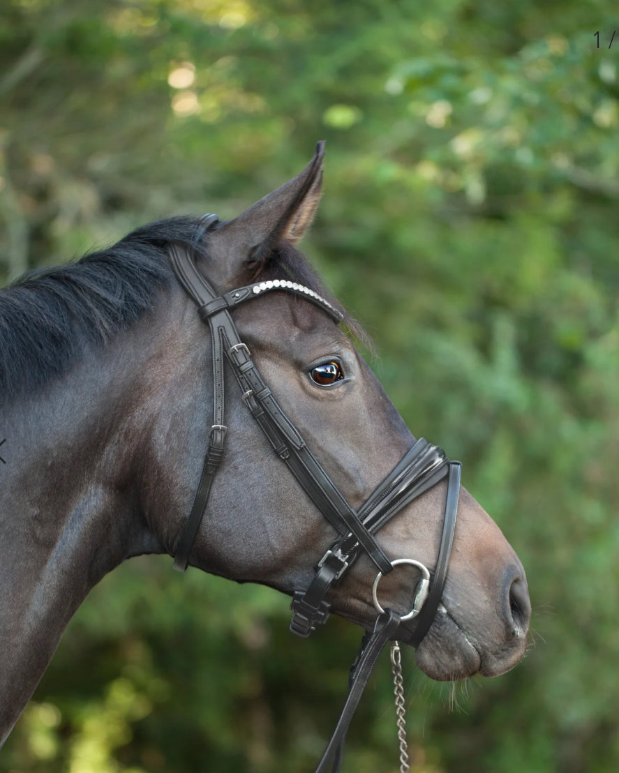 Utzon Equestrian - Bridon essentiel