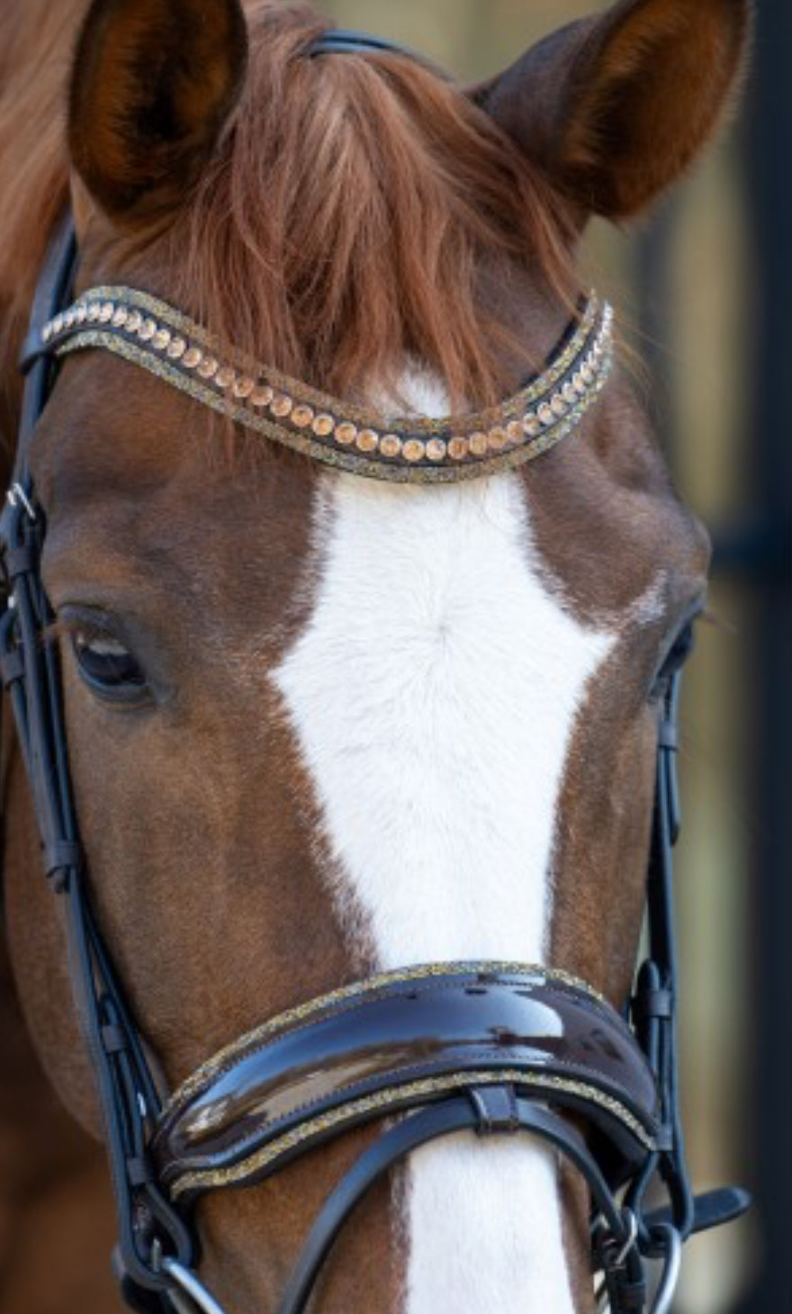 HB - bridon it so special - 4 coloris