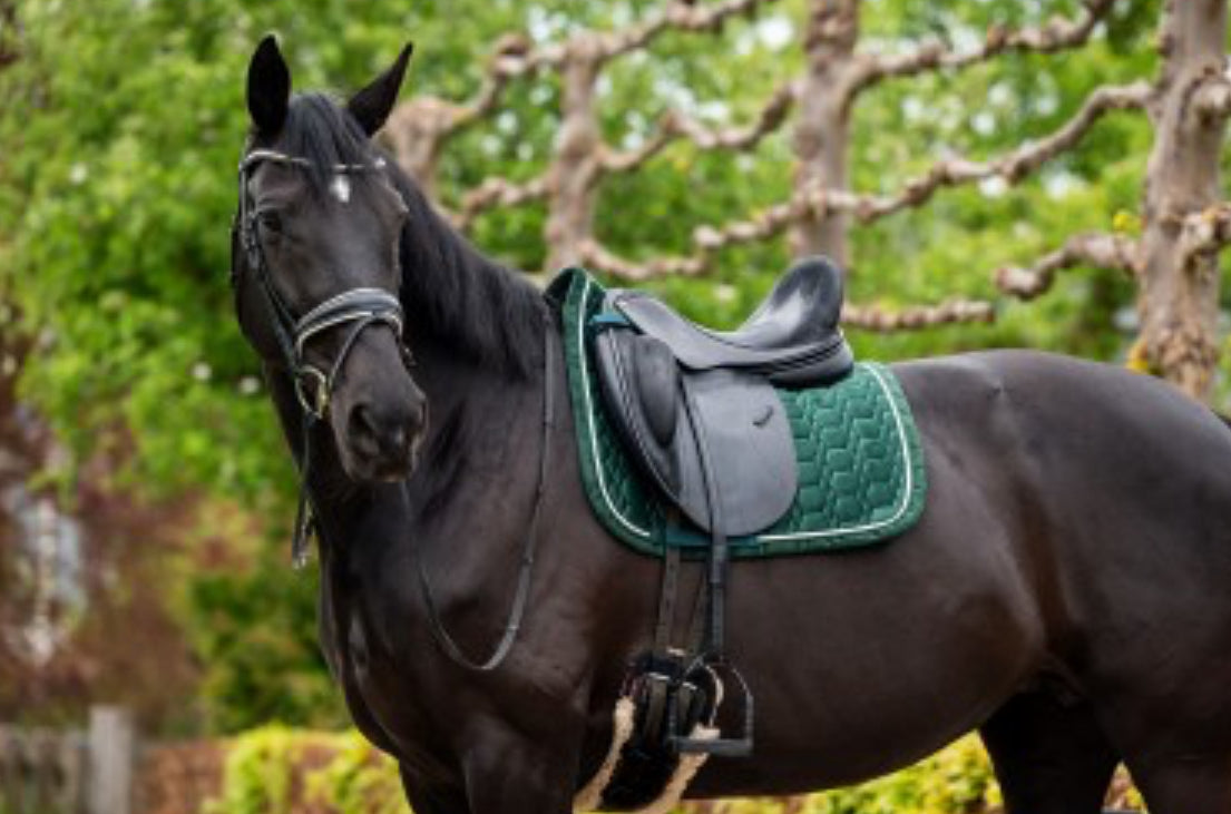 HB -tapis spécial velvet - 2 coloris