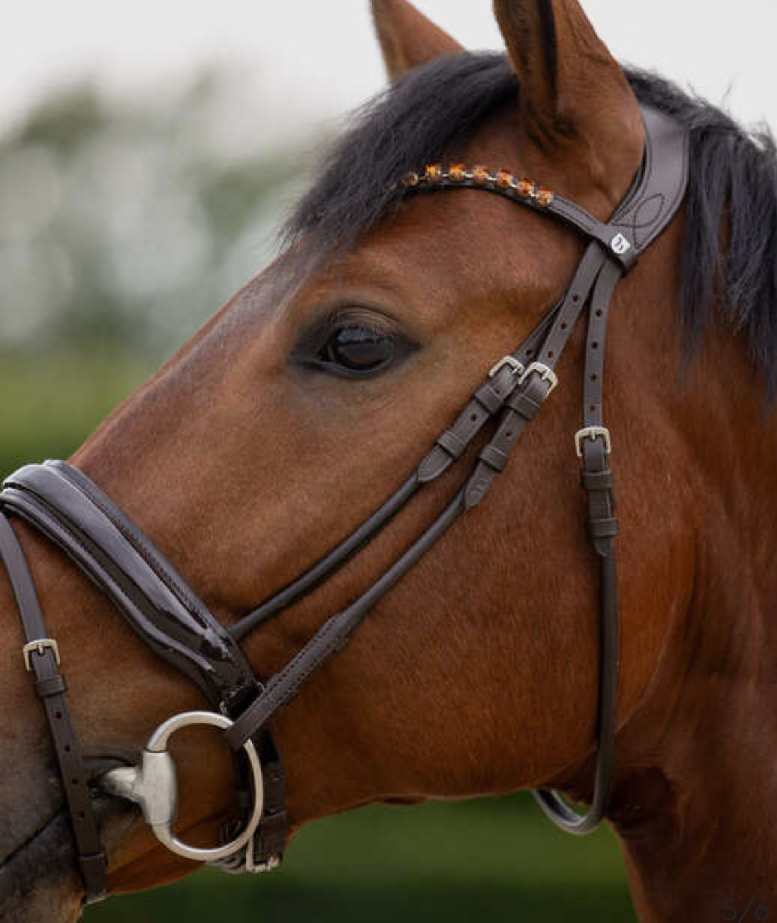 Horze - Bridon Clermont