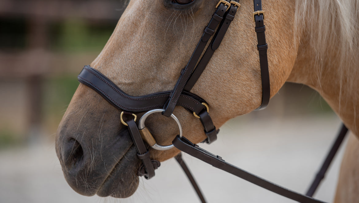 Bridle2fit - Muserolle J1 plat