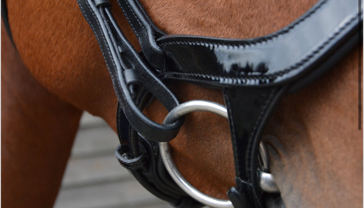 HB - bridon Freedom shine