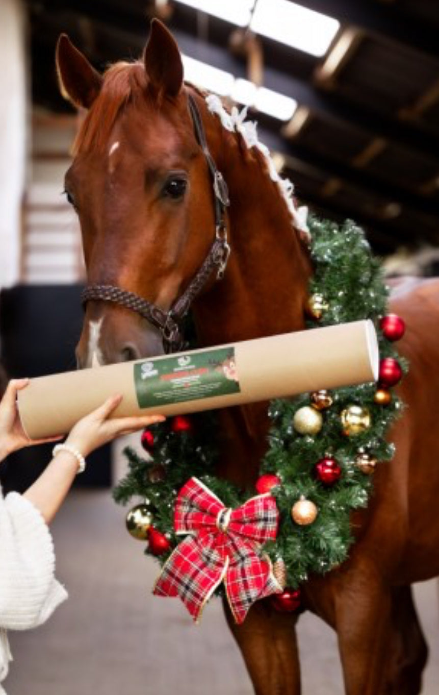 Candy horse - jouet bois friandises édition xmas