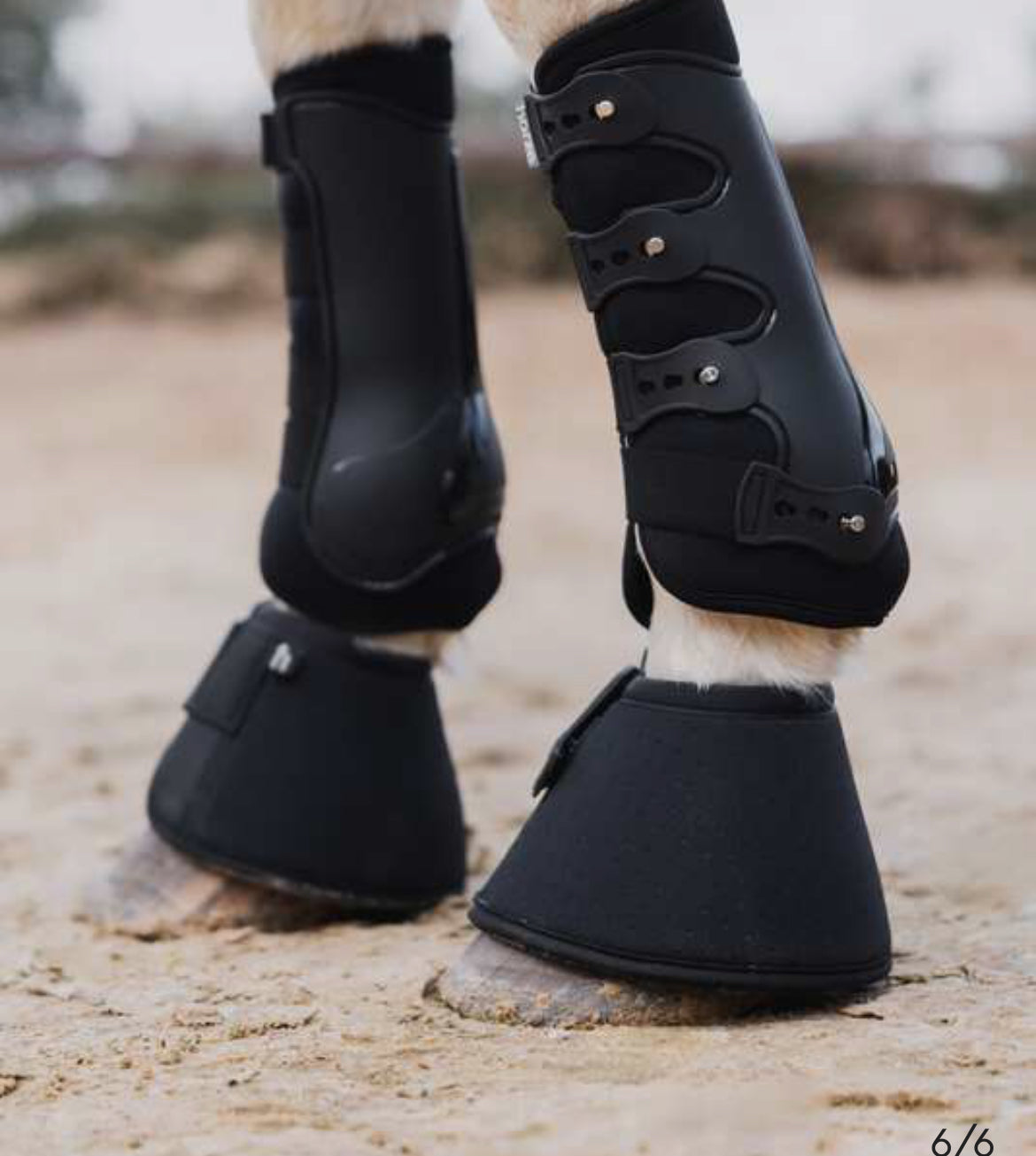 Horze - Cloches Malmo