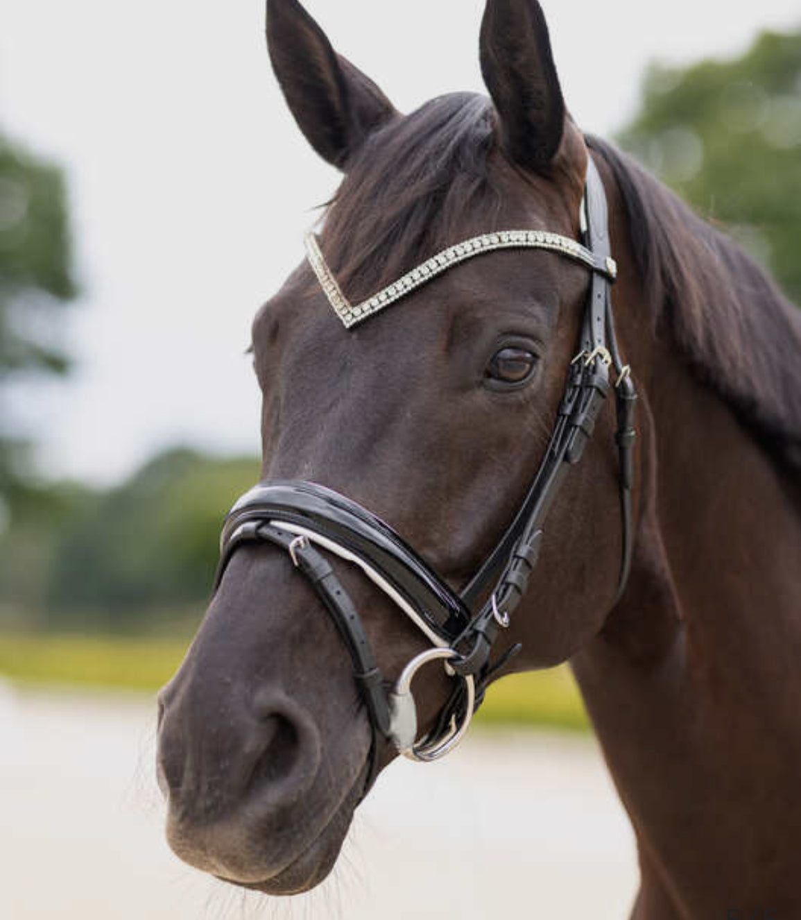 Horze - Bridon Grayson