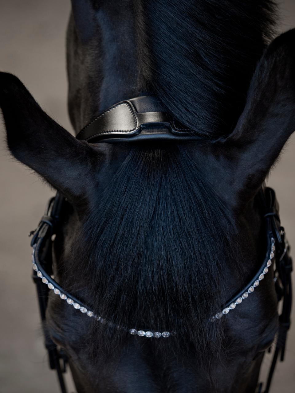 Catago - Bridon Tori