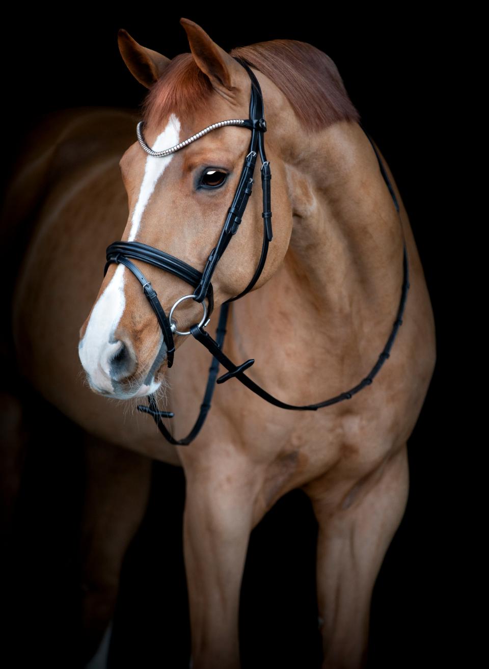 Catago - Bridon Brooklyn