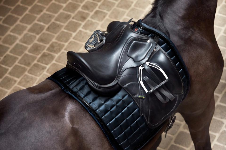 Catago - tapis dressage Fir tech elegant - 2 coloris