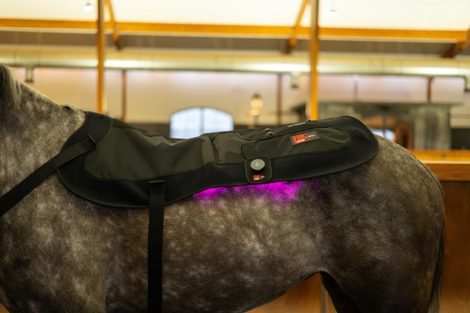 Catago - therapy pad Fir-Tech LED therapy - 115cmx74cm