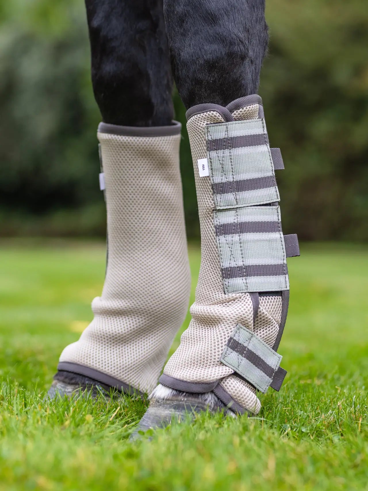 LeMieux - Guetres anti mouches- 2 coloris