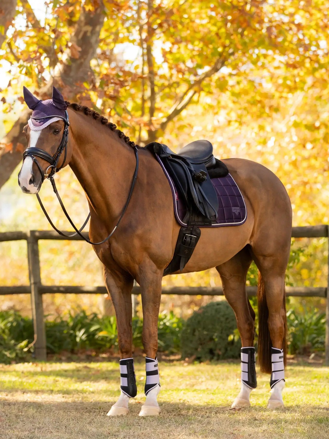 LeMieux - Tapis Loire merinos - juniper