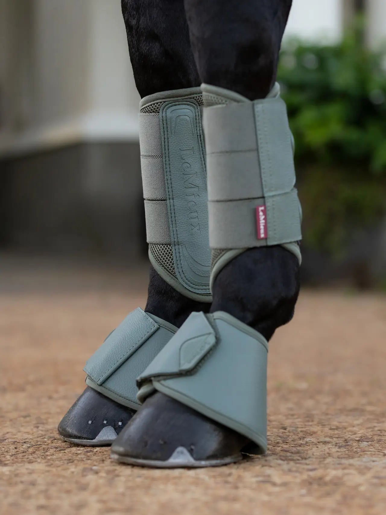 LeMieux - guêtres Arika mesh - 6 coloris