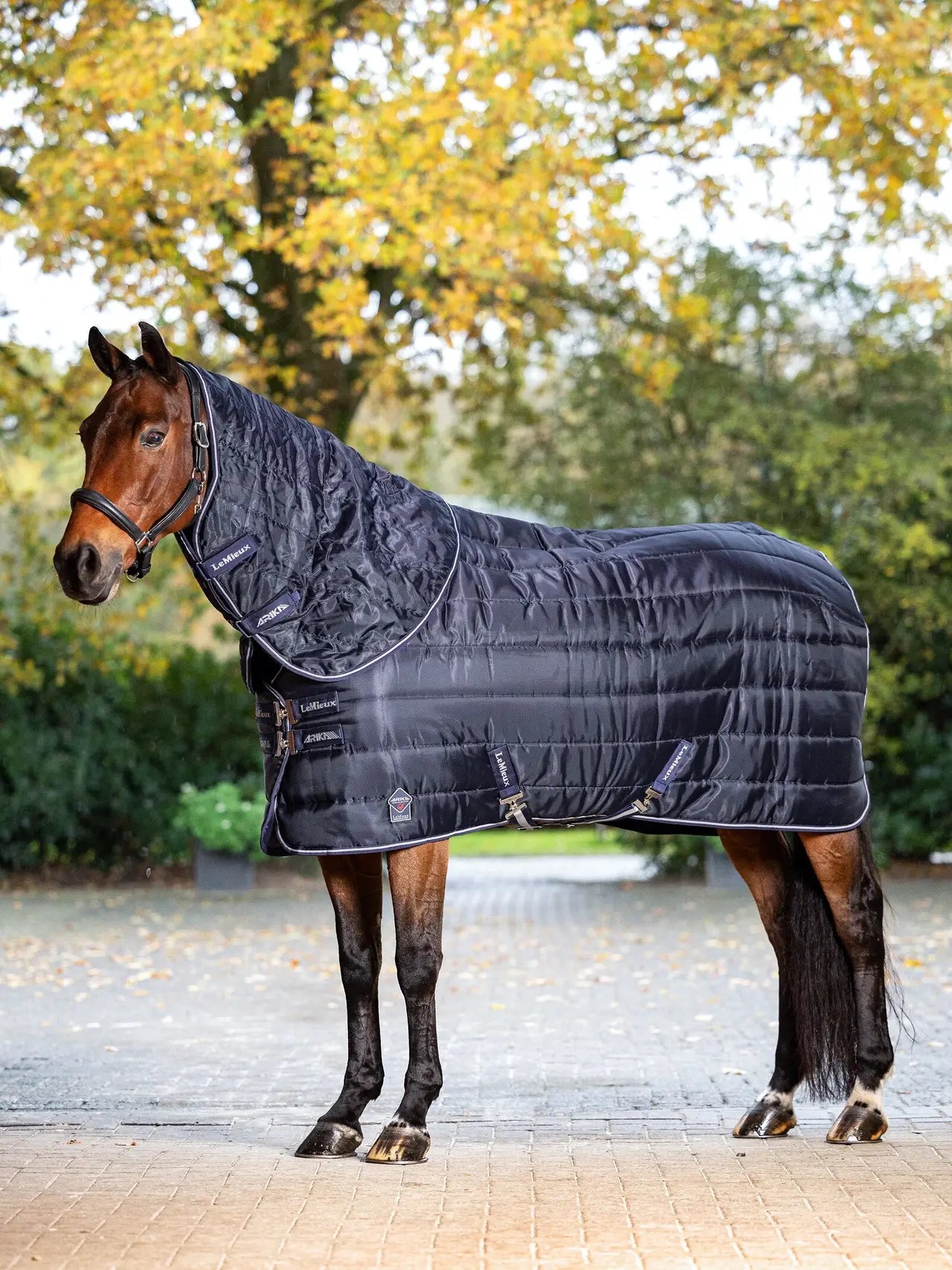 Lemieux - couverture 200gr Arika stable tek