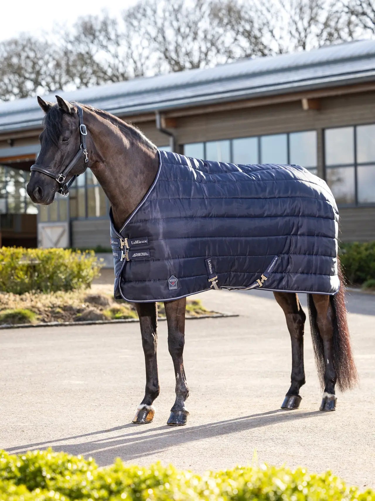 Lemieux - couverture 350gr Arika stable tek
