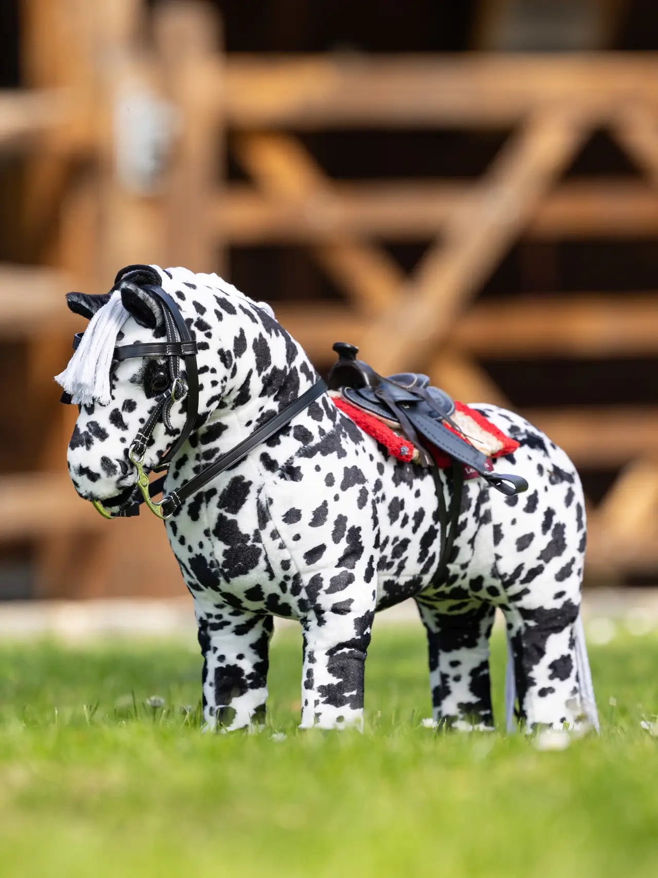 Lemieux - Toy pony - Dakota