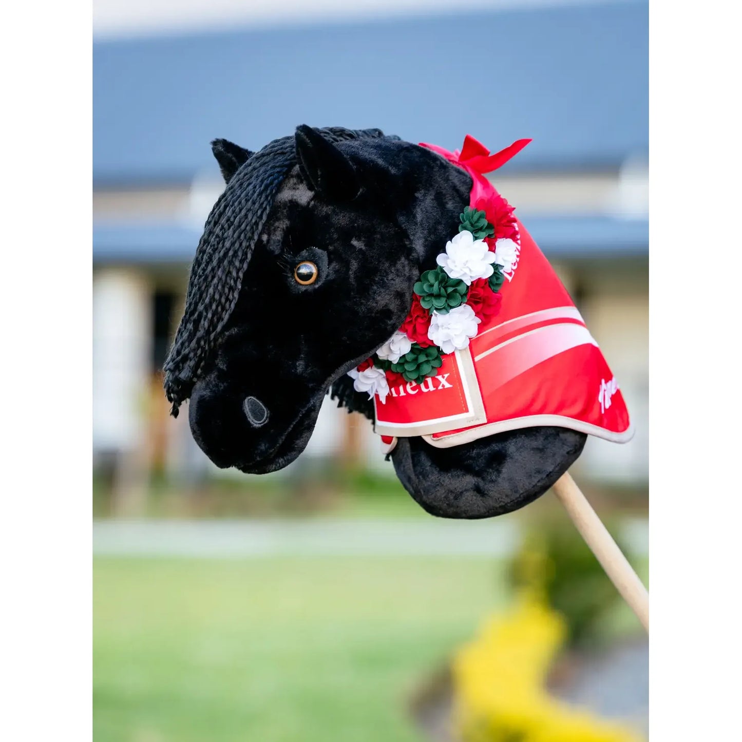 Lemieux - Hobby horse couverture vainqueur