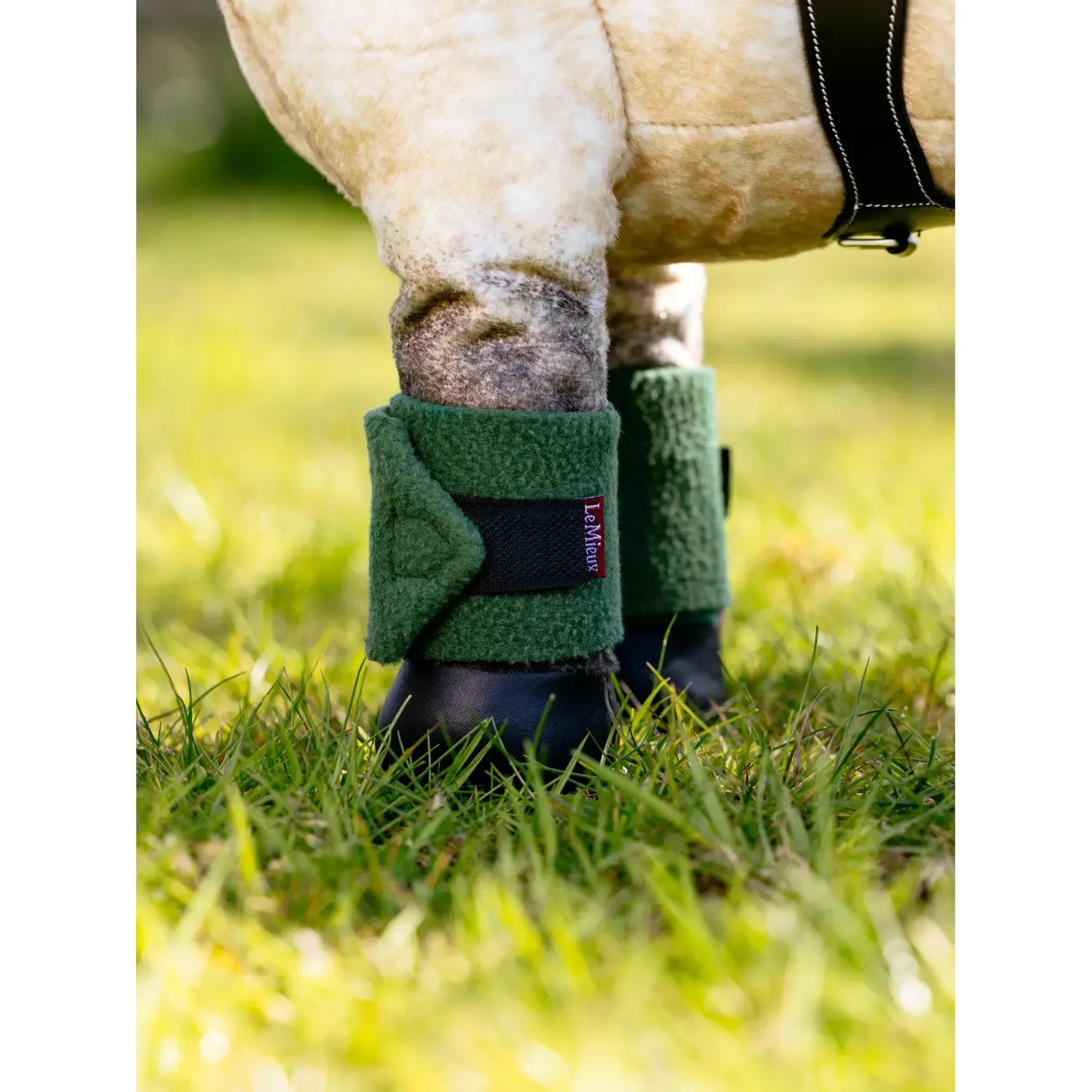 Lemieux - Toy pony bandes - 8 coloris